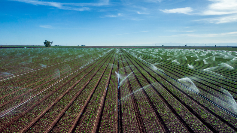 Agricultural Field in California Being Irrigated with Impact Sprinklers in Drought Conditions at Dusk Under Partly Cloudy Skies, Crops Being Watered in South Eastern California During Drought Conditions