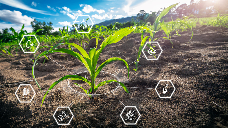 Smart-Farming-Utilizes-Technology-Data-And-Real-Time-Insights