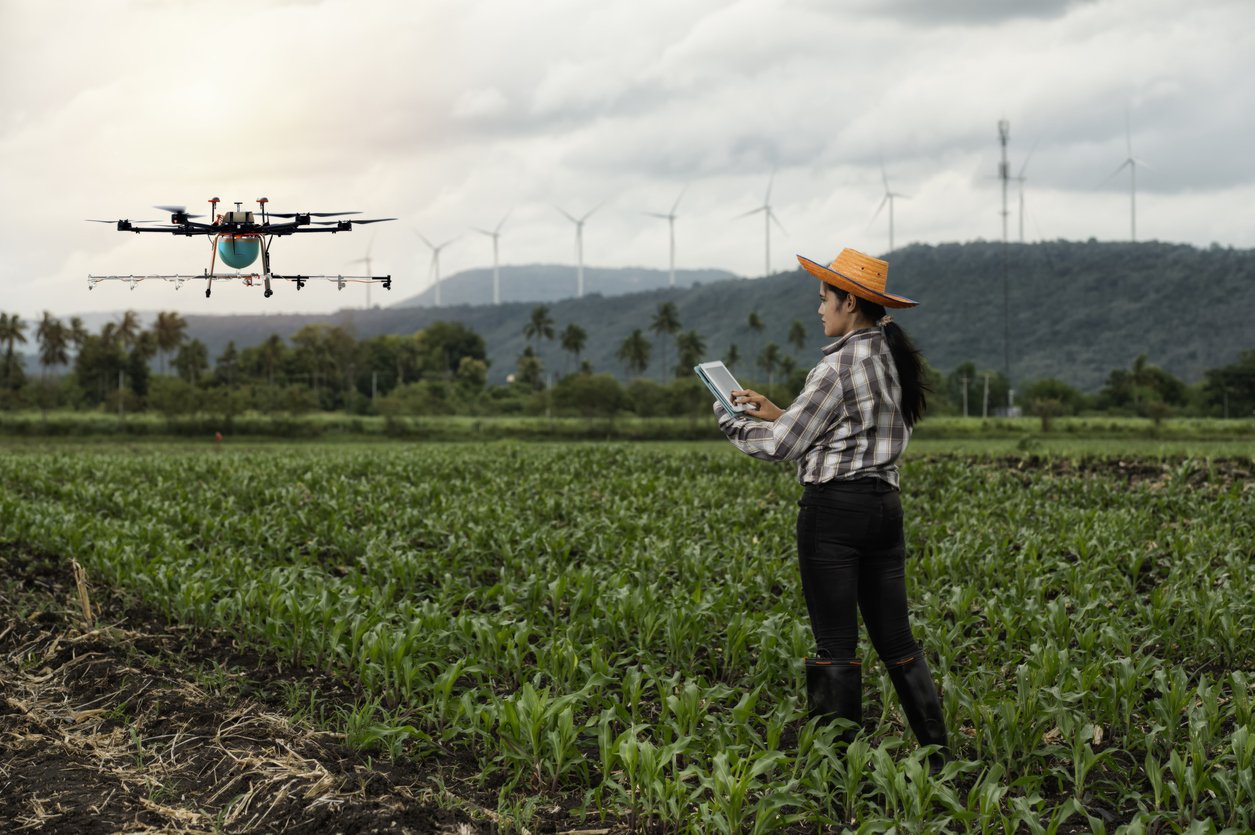 Farmer controlling an agricultural spraying drone over a cornfield.