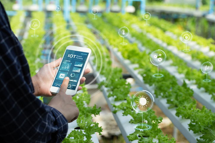 Man holding smartphone monitor and track agricultural produce through modern wireless networks. smart farming innovation, IoT