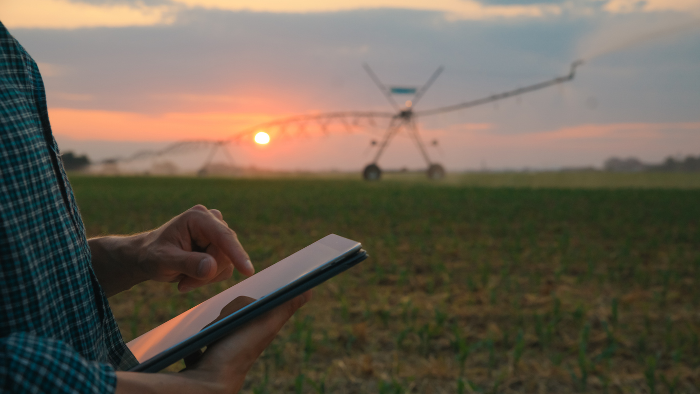 Farmer controlling irrigation system with a tablet in a wheat field.