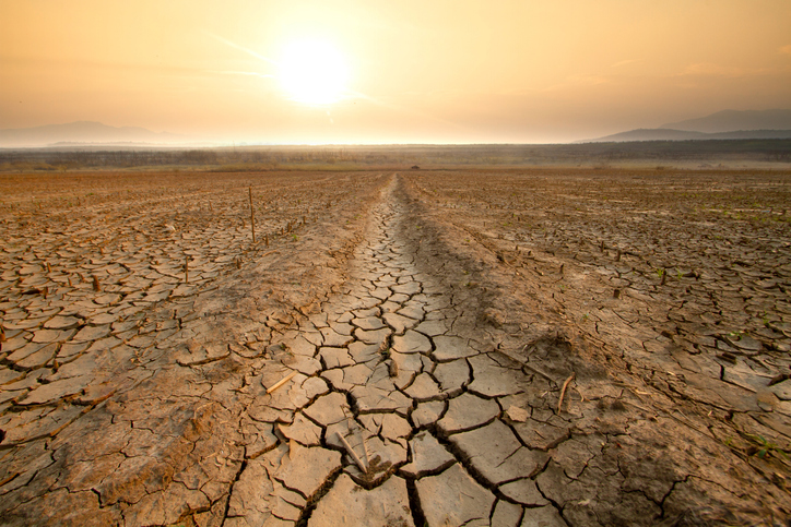 Traditional-Farming-Methods-Face-Environmental-Challenges-Like-Inclement-Weather