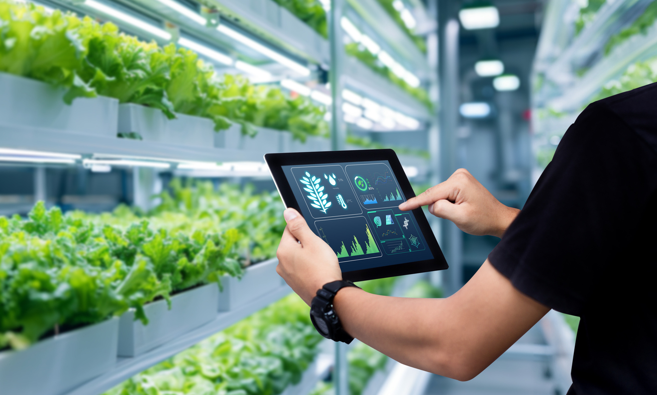 Person checking on hydroponic vegetable garden in greenhouse.