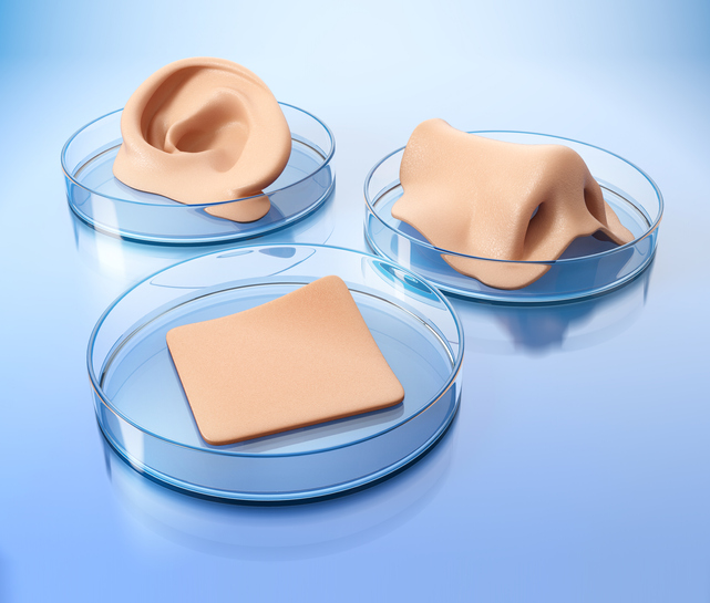 Concept of bioprinting of tissues and organs. Human ear, nose and part of skin ready for transplantation to the patient. 3D illustration.