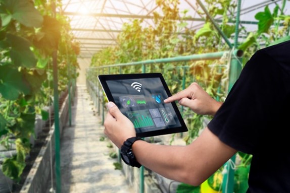 Man hands holding tablet on blurred organic farm as background.