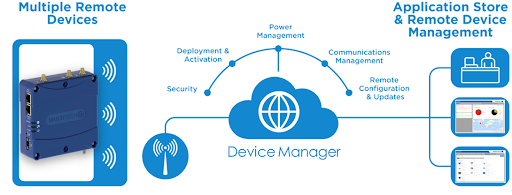 How the rCell 300 supports storage and remote device management. 
